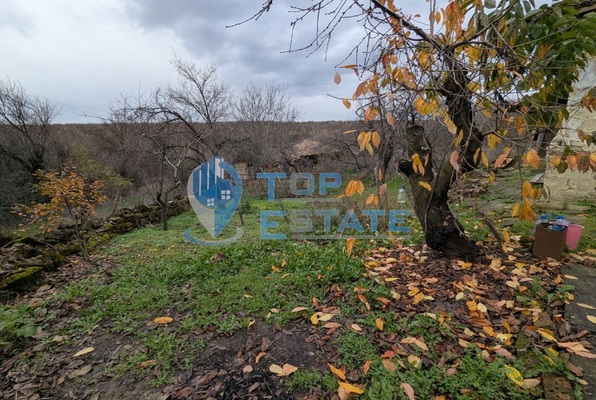 Голям парцел със стара къща в с. Балканци, общ. Стражица, обл. В.Търново - 0