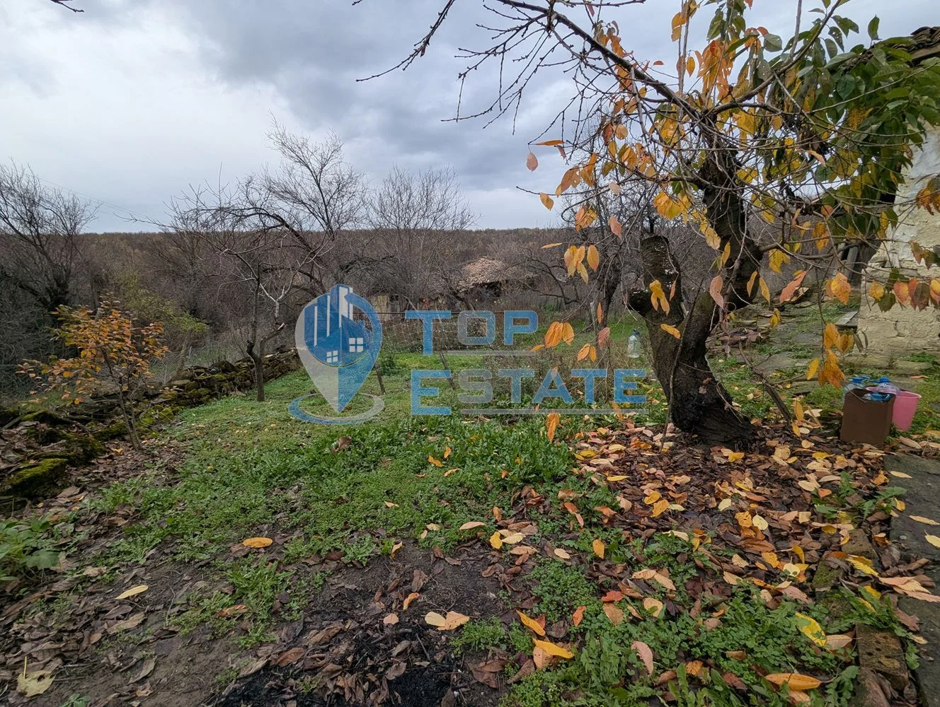 Голям парцел със стара къща в с. Балканци, общ. Стражица, обл. В.Търново - 0