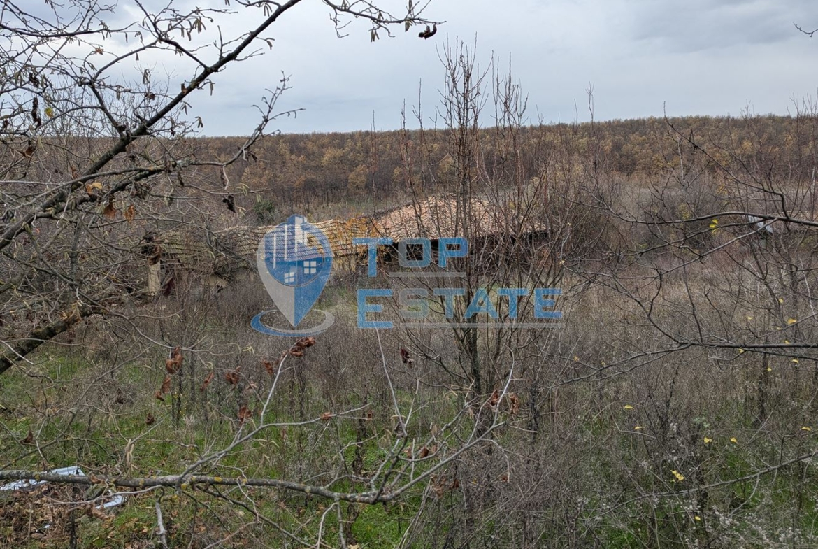 Голям парцел със стара къща в с. Балканци, общ. Стражица, обл. В.Търново - 0