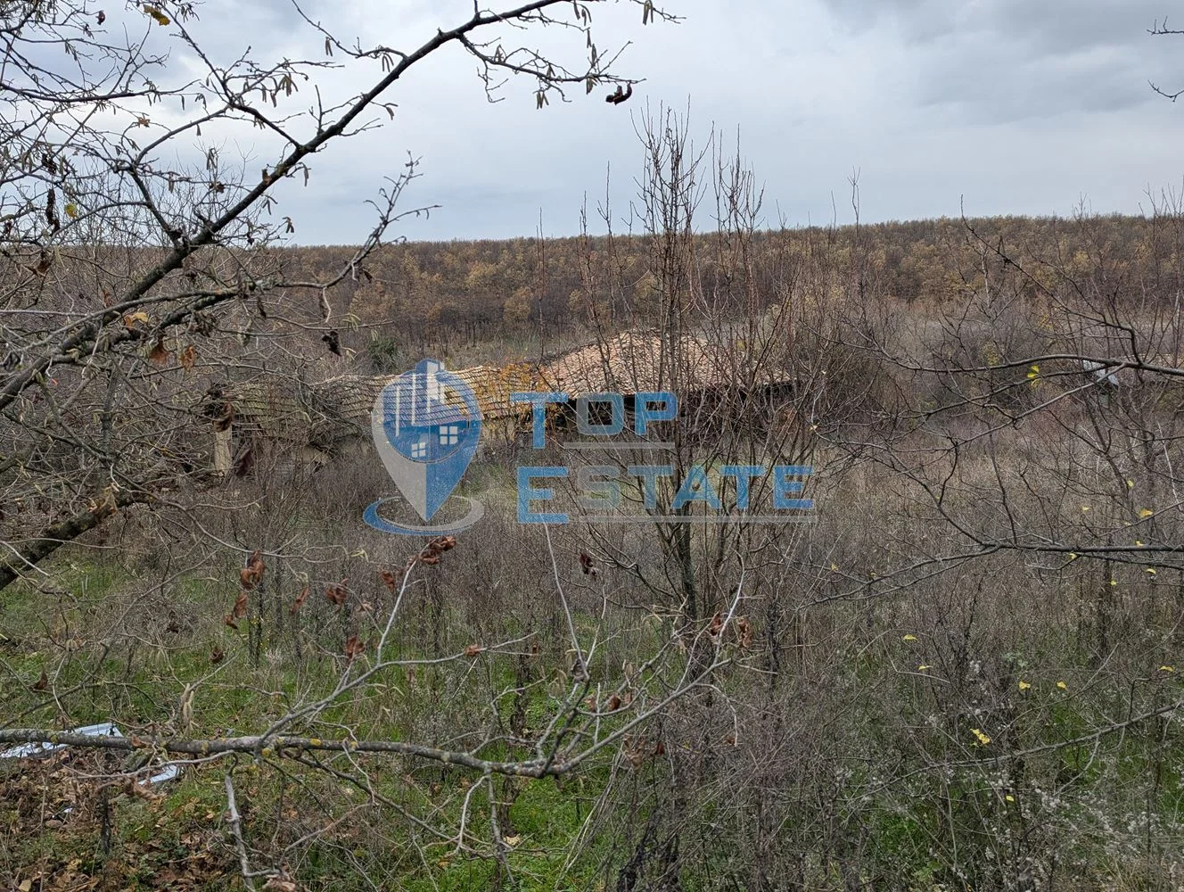 Голям парцел със стара къща в с. Балканци, общ. Стражица, обл. В.Търново - 0