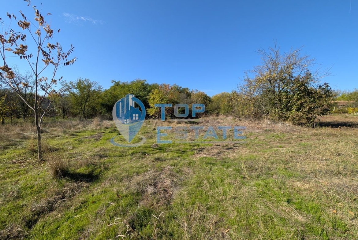 Двуетажна къща с голям двор и кладенец в село Сломер - 0