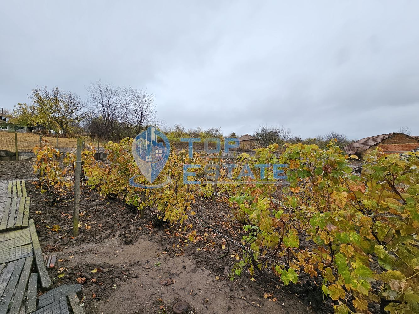Двуетажна тухлена и обзаведена къща в село Хаджидимитрово-0 Двуетажна тухлена и обзаведена къща в село Хаджидимитрово - 0