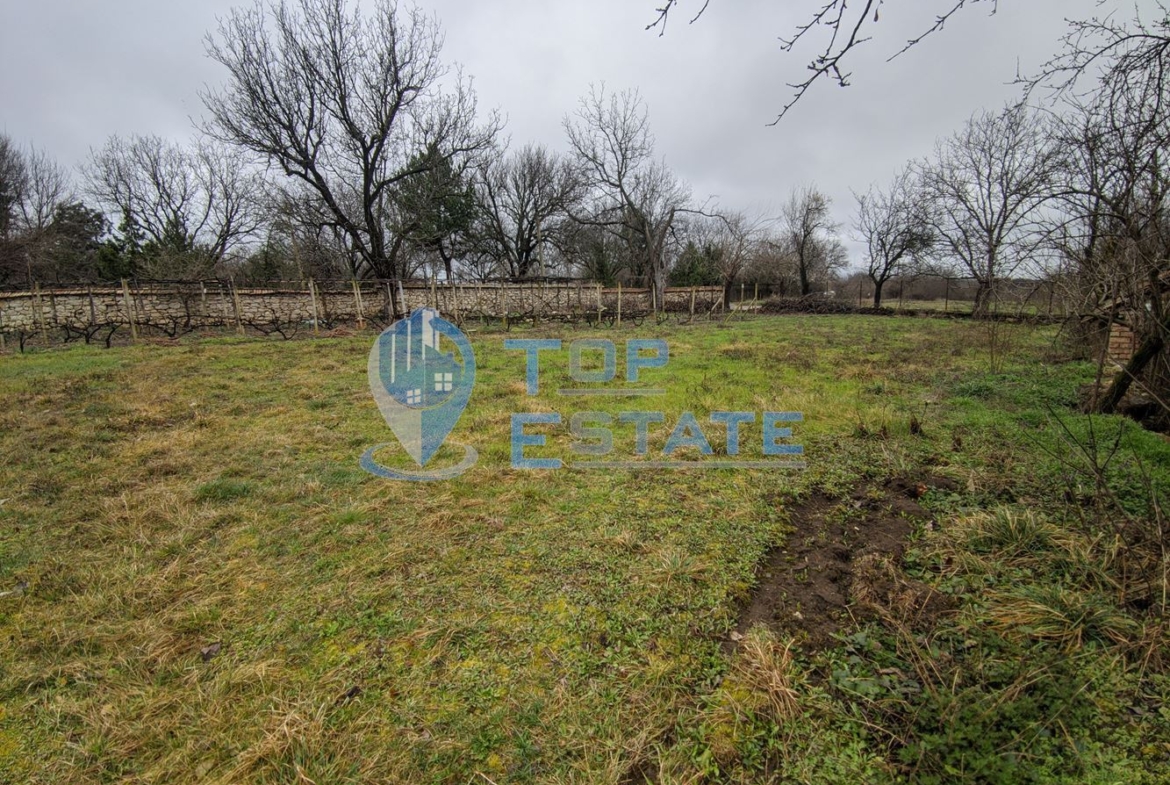 Двуетажна къща с голям двор в село Мусина - 0