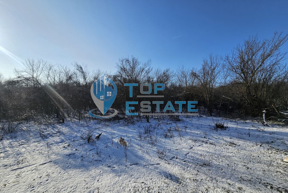 Масивна къща с голям парцел в село Върбица, област Велико Търново - 0