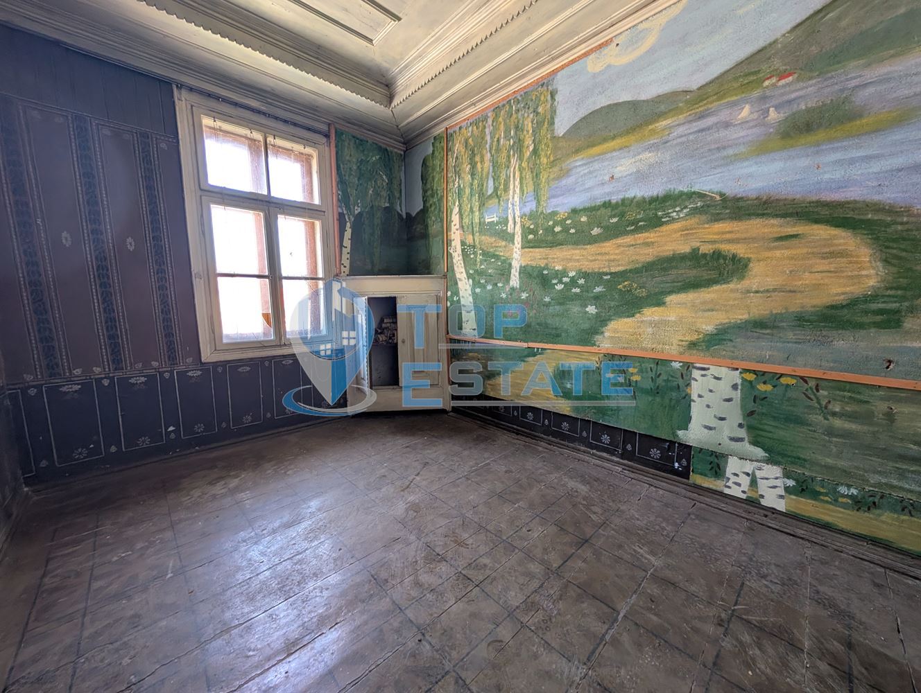 Просторна двуетажна къща в центъра на село Драгижево - 0