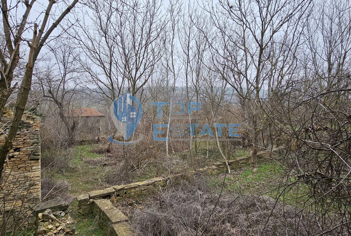 Голям парцел със стара къща и два кладенеца в село Паскалевец, област Велико Търново - 0