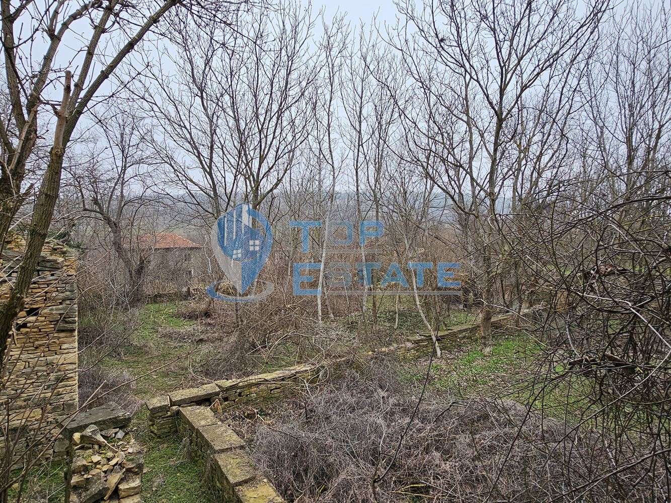 Голям парцел със стара къща и два кладенеца в село Паскалевец, област Велико Търново - 0