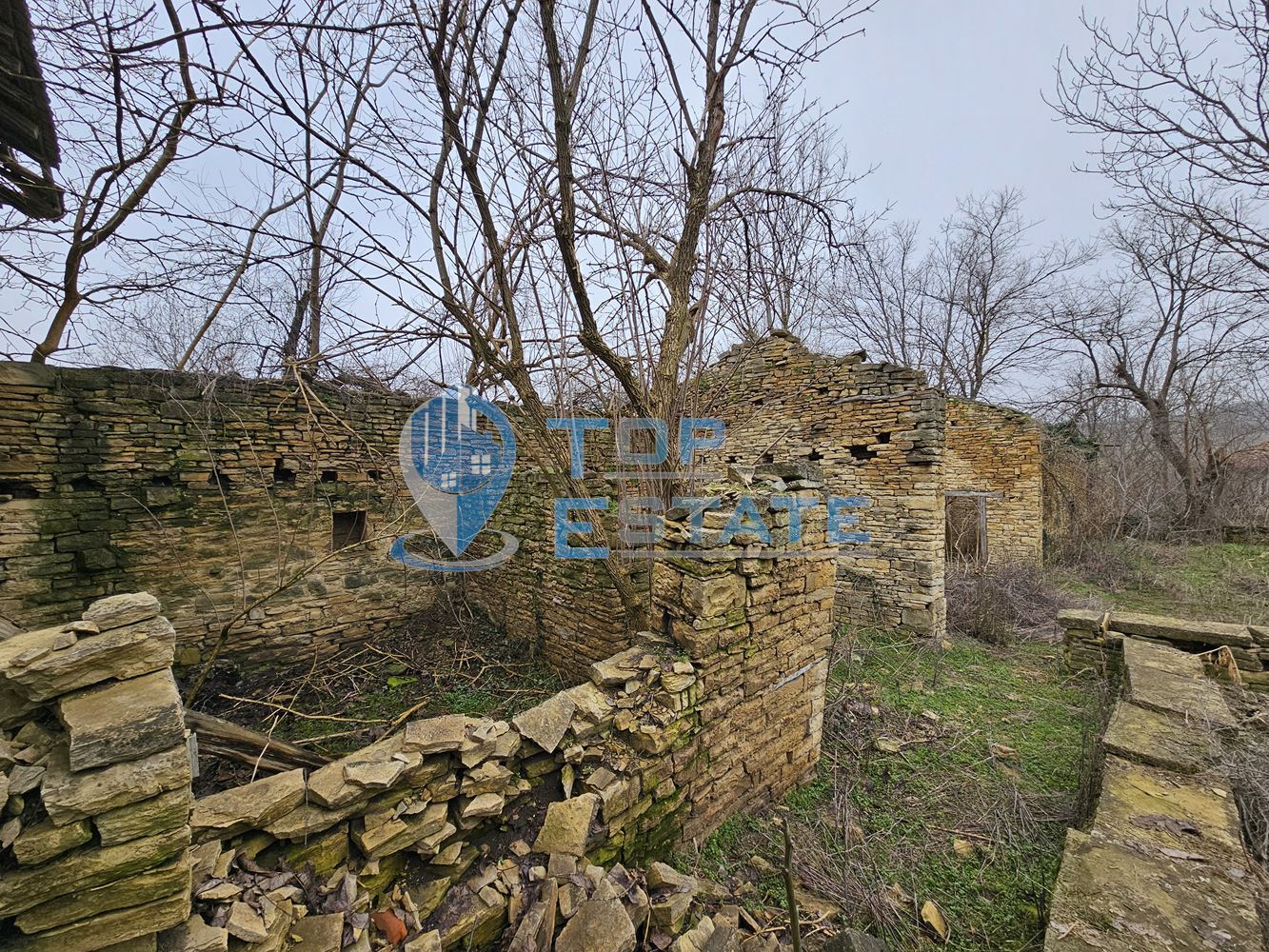 Голям парцел със стара къща и два кладенеца в село Паскалевец, област Велико Търново - 0