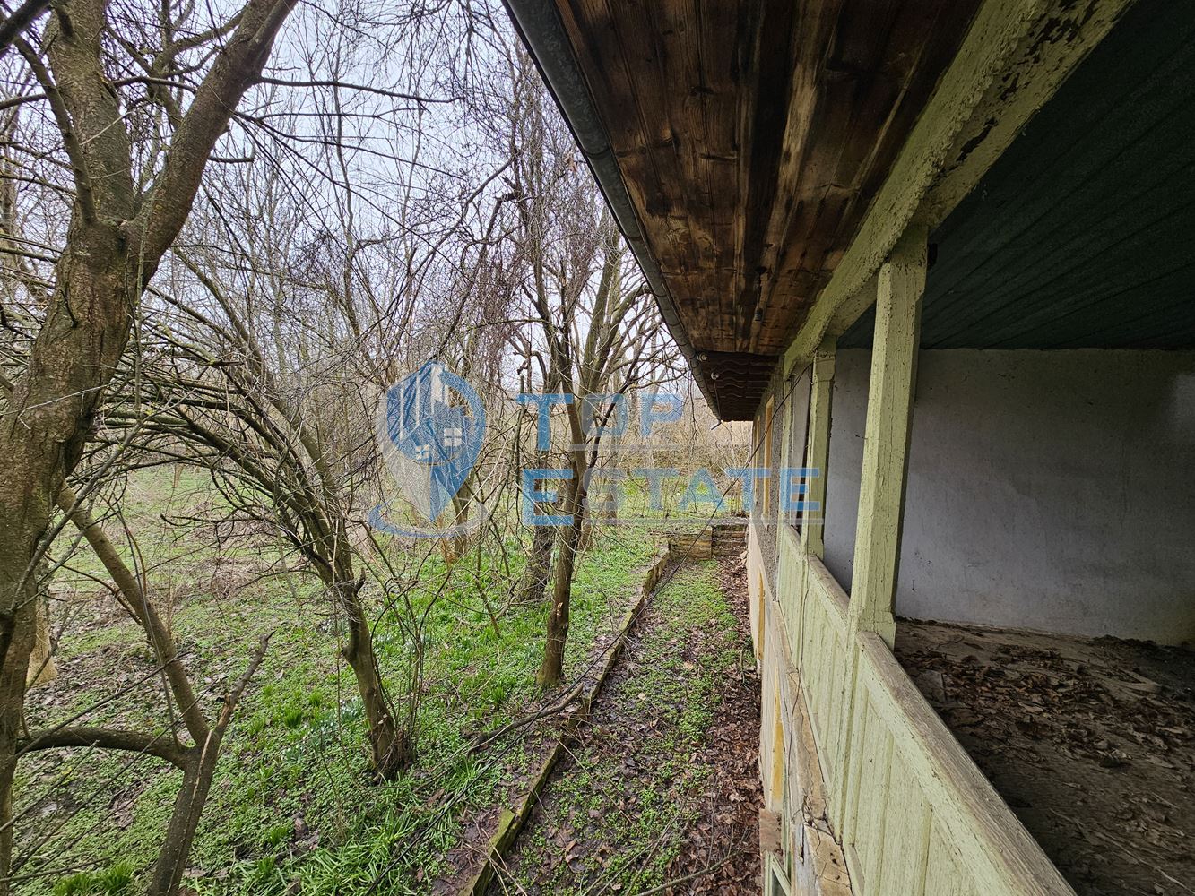 Голям парцел със стара къща и два кладенеца в село Паскалевец, област Велико Търново - 0