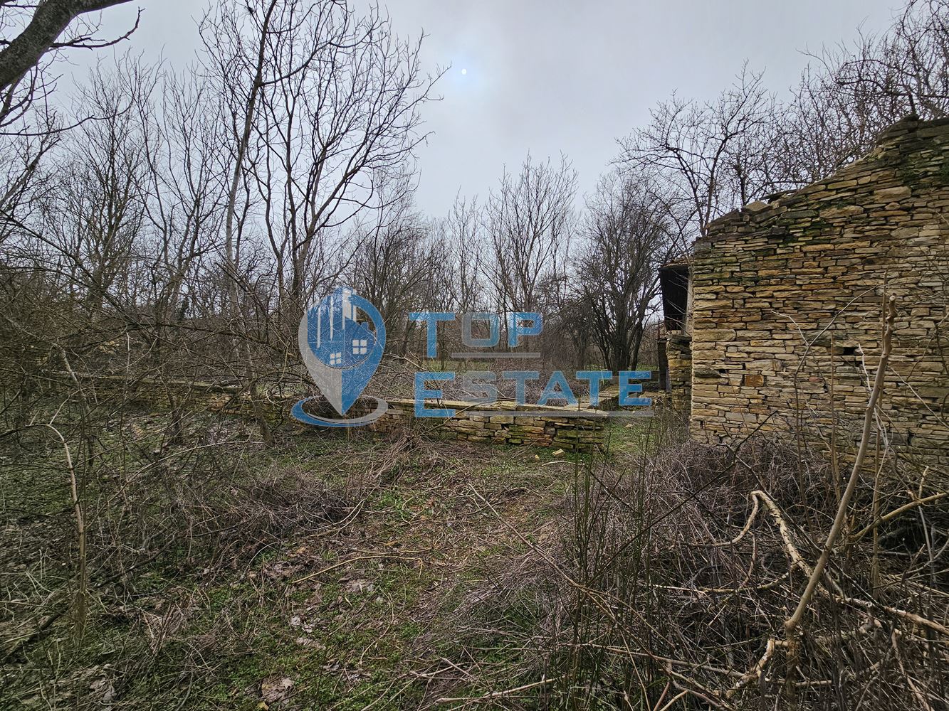 Голям парцел със стара къща и два кладенеца в село Паскалевец, област Велико Търново - 0