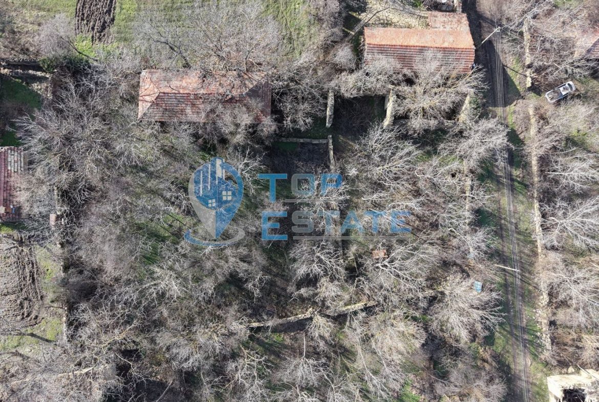 Голям парцел със стара къща и два кладенеца в село Паскалевец, област Велико Търново - 0