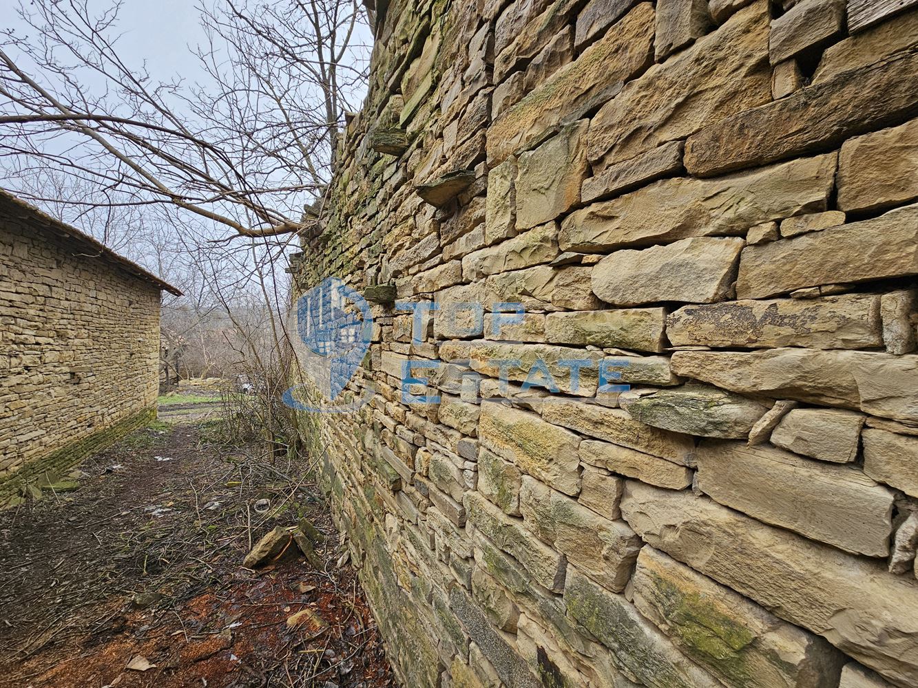 Голям парцел със стара къща и два кладенеца в село Паскалевец, област Велико Търново - 0