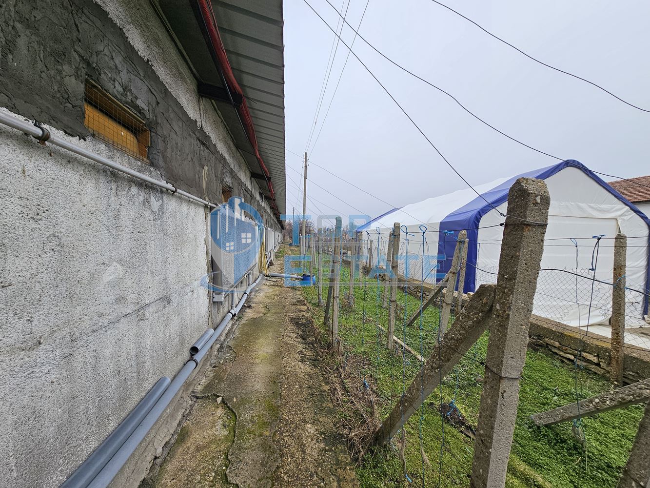 Птицеферма с разработен бизнес, ФЕЦ и оборудване, готова за работа в област Велико Търново - 0