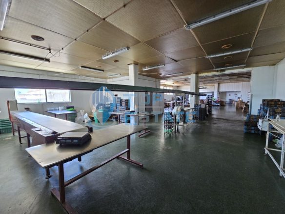 Промишленa сграда със собствен трафопост на главен път Русе - Свиленград в село Поликраище - 0