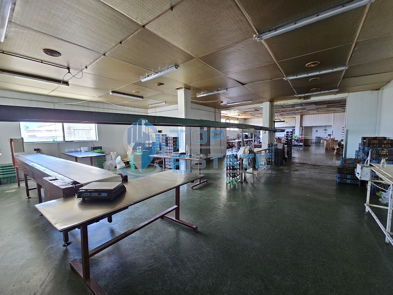 Промишленa сграда със собствен трафопост на главен път Русе - Свиленград в село Поликраище - 0