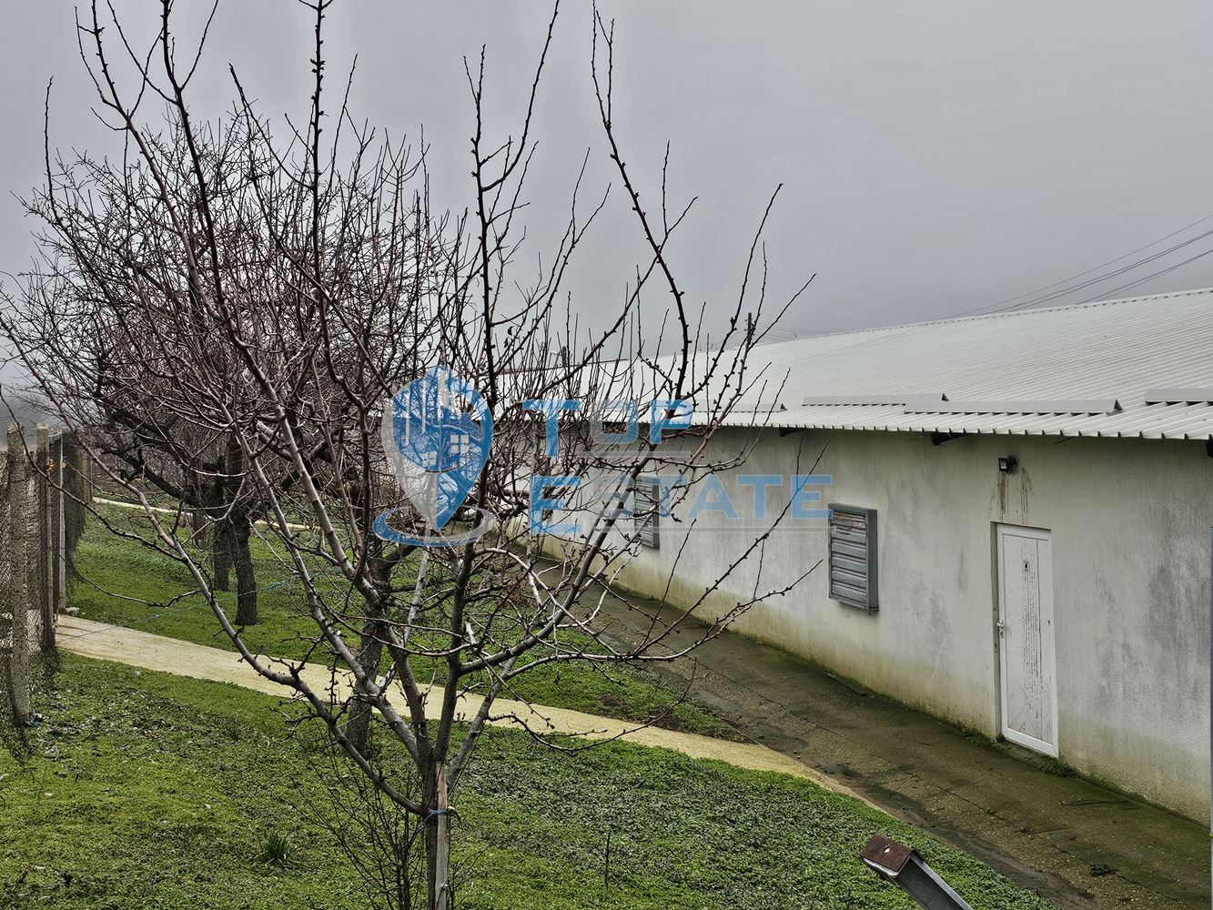 Птицеферма с разработен бизнес, ФЕЦ и оборудване, готова за работа в област Велико Търново - 0