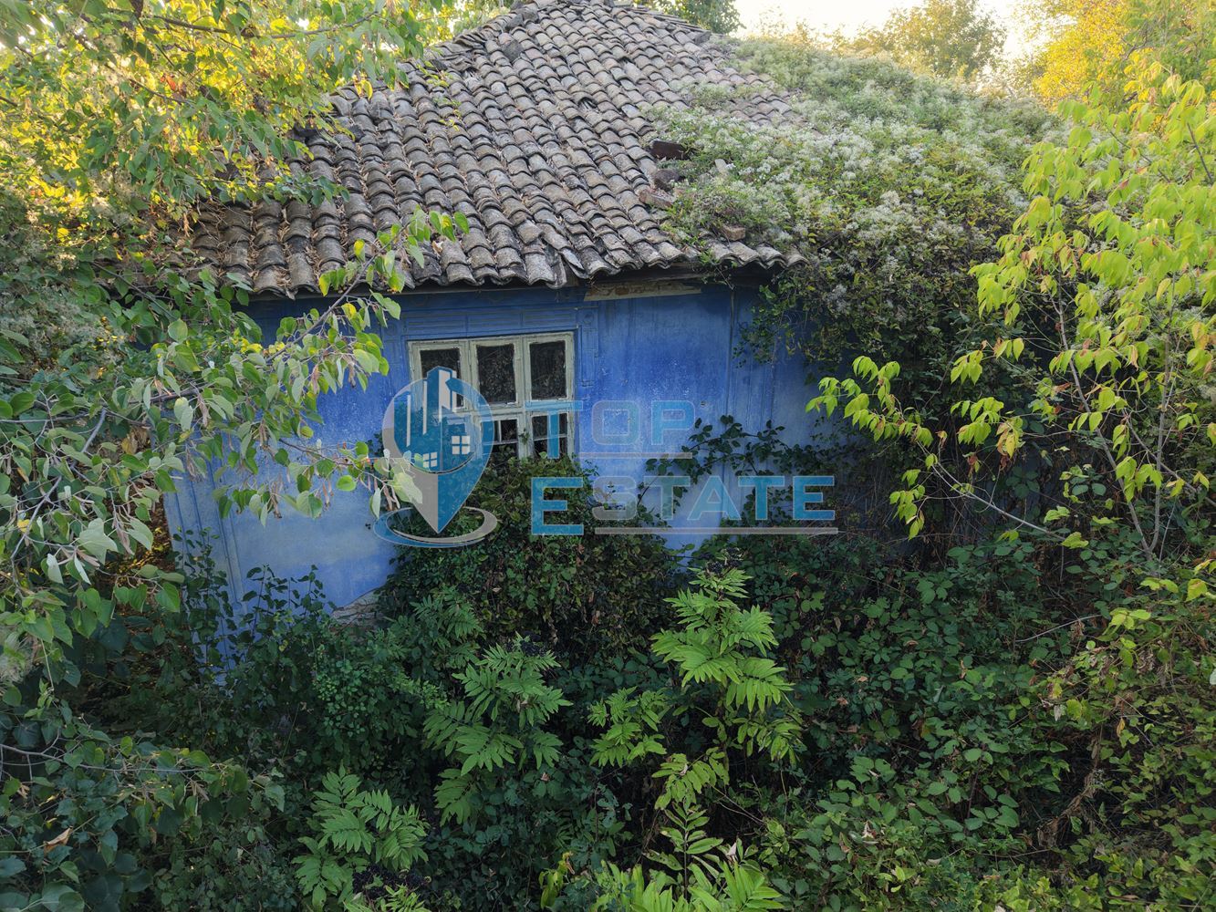 Къща с двор в село Кесарево - 0